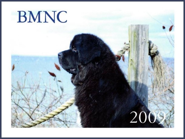 Georgie's picture  was selected for the cover of the BMNC Calendar!